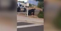 بالفيديو.. شرطي يقيد مراهقة مخمورة بعد طرحها أرضا