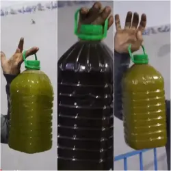 زيتون ݣرسيف "الرومي" يدفع الوزانيين لإعلان استيائهم وتحذير الباحثين عن "الزيت الوزانية الحرة"