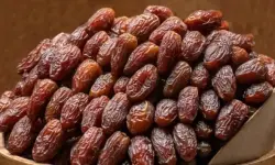 السفارة التونسية توضح حقيقة إغلاق باب تصدير التمور نحو المغرب