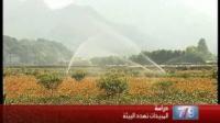 هل تؤثر المبيدات الزراعية على النساء الحوامل والأجنة؟ إجابات صادمة في دراسة أمريكية