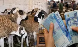 مطالب بتعميم منحتي العيد والشهر الثالث عشر تحقيقا للعدالة الاجتماعية