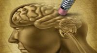 علماء يحاولون فك ألغاز الذاكرة
