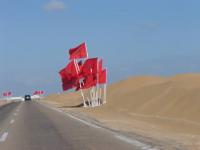 جبهة البوليساريو تواصل استهداف الاستثمارات الأجنبيّة بالمغرب