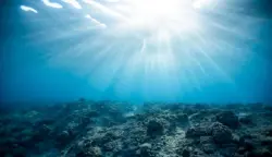 وحش أعماق المحيط الهادئ يستيقظ.. علماء يحذرون