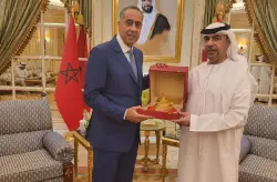 حموشي يجري زيارة عمل إلى الإمارات العربية المتحدة
