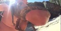 بالفيديو.. أخطبوط ضخم يمسك بأحد المصطافين ويطوقه بأذرعته