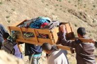 الصورة من الأرشيف