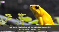 حيوانات تبدو بريئة لكنها قاتلة !