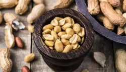 حفنة فول سوداني يومياً قد تُبطئ الشيخوخة وتحمي من أمراض مزمنة