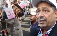 بنكيران يسخر من شباط في بداية حملته: جاب الحمير للمسيرات ودار الضحكة فالبلاد