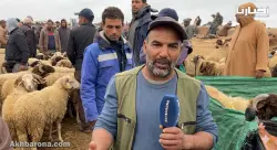 تصريح مثير لكساب من ميدلت: الحولي موجود.. ولكن الثمن “كاين وماكاينش”!