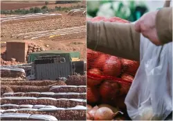 "تعدد الوسطاء" يلهب جيوب المغاربة.. رحلة "البصل" من المخازن إلى المستهلك تضاعف ثمنه 3 مرات!