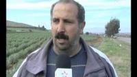 إنتعاش القطاع الفلاحي بإقليم بركان