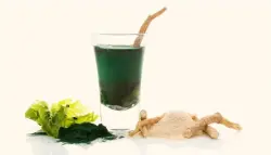 عصير أوراق الأشواغاندا.. مشروب طبيعي يعزز المناعة ويقاوم الشيخوخة