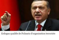 تركيا تُصنف "بوليساريو" مُنظمة إرهابية .. و"إردوغان" يؤكد دعمه المُطلق للمغرب