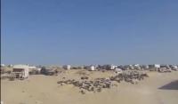 شاهد ..."قندهار" المنطقة الواقعة بين الحدود المغربية و الموريتانية