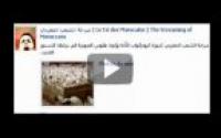 حركة 20 فبراير و التدليس 