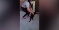 بالفيديو..  مراهقة ترمي قطة من الطابق الرابع