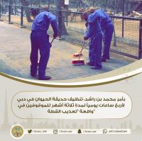 فيديو صادم لشبان يقدمون قطة للكلاب الشرسة وهذه هي العقوبة التي أمر بها حاكم دبي في حقهم