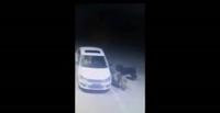 رد فعل شابين لحظة رؤيتهما ذئاب تزور محطة وقود (فيديو)