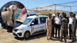 " لي حصل يودي".. قائد الملحقة 24 بطنجة يدخل على خط فوضى الشناقة بسوق الحرارين ومعقلش عليهم