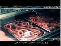 الغش في المواد الإستهلاكية