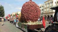 مهرجان البصل بالحاجب