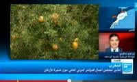 أغادير تحتضن أعمال المؤتمر الدولي الثاني حول شجرة الأركان