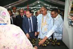 السعدي من الداخلة يقوم بزيارة عمل تشمل الصناعة التقليدية والاقتصاد الاجتماعي والتضامني