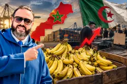 بعد اعتراف دول مورّدة بمغربية الصحراء.. الموز يختفي من موائد الجزائريين بسبب حسابات النظام