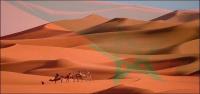 رغم مناورات الأعداء...الولايات المتحدة تدير ظهرها للجزائر والبوليساريو في قضية الصحراء المغربية