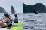 حوت عملاق يفاجئ مغامرين على متن قوارب كياك(فيديو)
