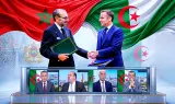 بالفيديو.. إعلام الكابرانات يصل مرحلة "الفجور السياسي" والتحالف المغربي الفرنسي يزلزل أركان قصر "المرادية"
