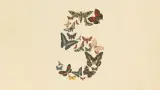 قرار أمريكي مفاجئ يعطل الولوج إلى Fable 5 ويثير جدلاً واسعاً حول مستقبل الذكاء الاصطناعي