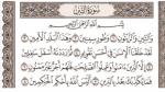 من فضائل سورة التين: من قرأها في فرائضه ونوافله أعطي من الجنة حيث يرضى