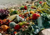 أرقام مرعبة للهدر الغذائي بالمغرب: "113 كيلوغراما لكل مغربي"