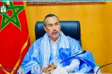 حتى قبل أن يبدأ.. الخطاط ينجا يستقيل من مجلس النواب