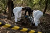 هذه حقيقة إسقاط تهم جنائية على عائلة متورطة في جريمة قتل شابة قبل سنوات بدعوى التقادم