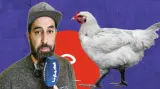 انخفاض أسعار الدجاج.. المغاربة يتنفسون الصعداء بعد شهور من الغلاء