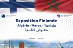 افتتاح المعرض الفنلندي - المغاربي يوم 22 مارس الجاري بمراكش
