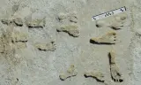 آثار أقدام تهز تاريخ أمريكا.. هل وصل الإنسان قبل 23 ألف عام؟