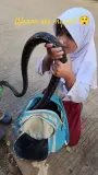مشهد مرعب.. طفلة تخرج ثعبانًا ضخمًا من حقيبتها المدرسية (فيديو)