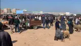 هل تلجأ الحكومة لفتح تحقيق معمق في اختلالات عيد الأضحى لترتيب المسؤوليات وضمان عدم تكرار "سيناريو الغلاء والندرة"؟