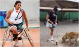 مؤثر.. بطلة رياضية مغربية تعود للاعتناء بالكلاب الضالة التي تسببت لها في بتر رجلها