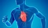 نصائح طبية: 7 خطوات لتقوية عضلة القلب أثناء الصيام