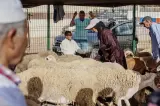 لهيب الأسعار يفرض "الجمود" على أسواق الأضاحي والمغاربة يترقبون "انفراجة" اللحظة الأخيرة