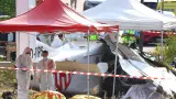 مصرع 11 شخصا في تحطم طائرة بفرنسا