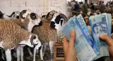 كما أكدت "أخبارنا" في مقال سابق.. الحكومة تقرر رسميا صرف أجور الموظفين بشكل استثنائي الأسبوع المقبل