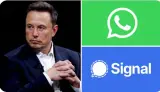 إيلون ماسك: واتس آب غير آمن و"سيغنال" مشكوك به.. تعالوا إلى "إكس"