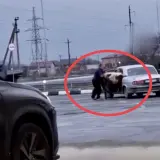 فيديو غريب.. رجل ينجح في وضع 3 بقرات داخل سيارة